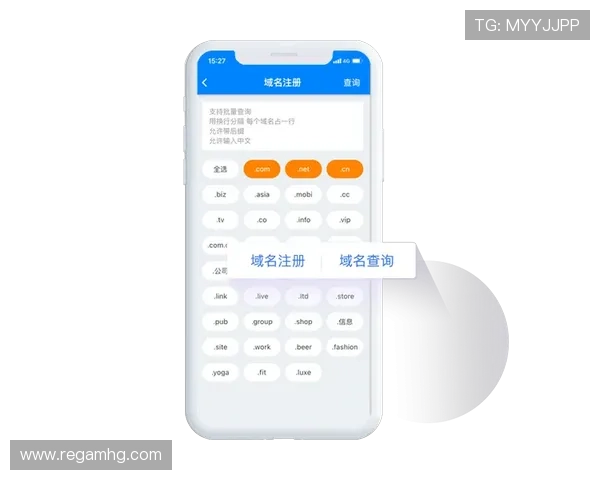 皇冠官方最新域名查询指南，帮助用户轻松找到官方授权的新域名资源